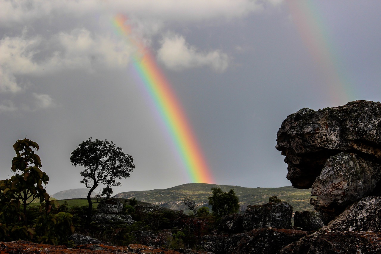 Life Unraveled: God Has A Purpose