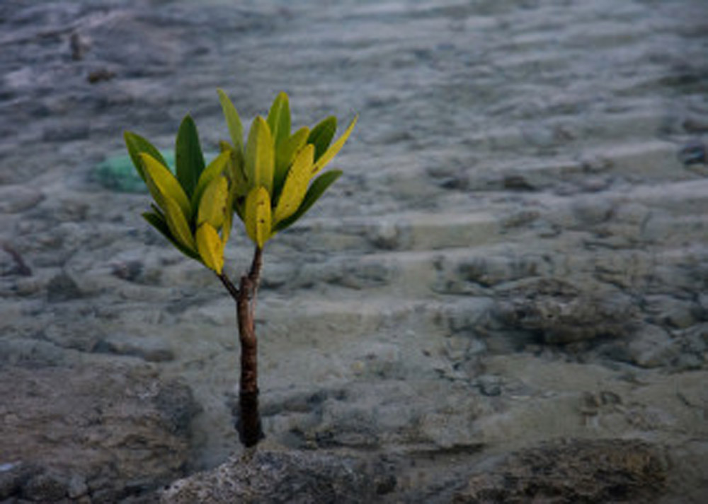 Why We Shouldn’t Do What Comes Naturally