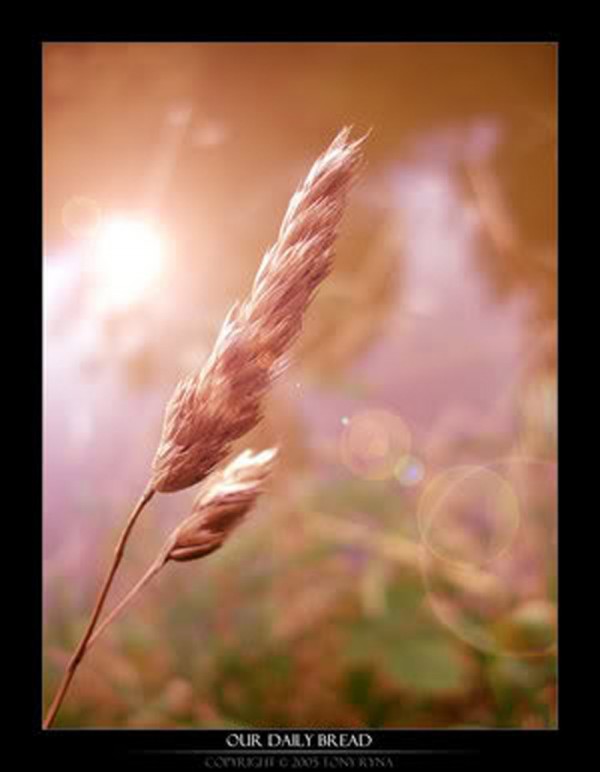 Choosing Obedience When God Calls You to Give