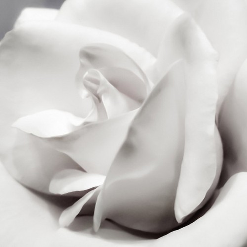 What is Sexual Immorality and How to Avoid It