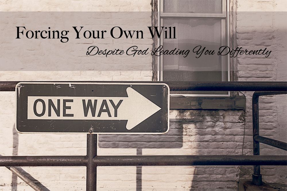 Forcing Your Own Will
