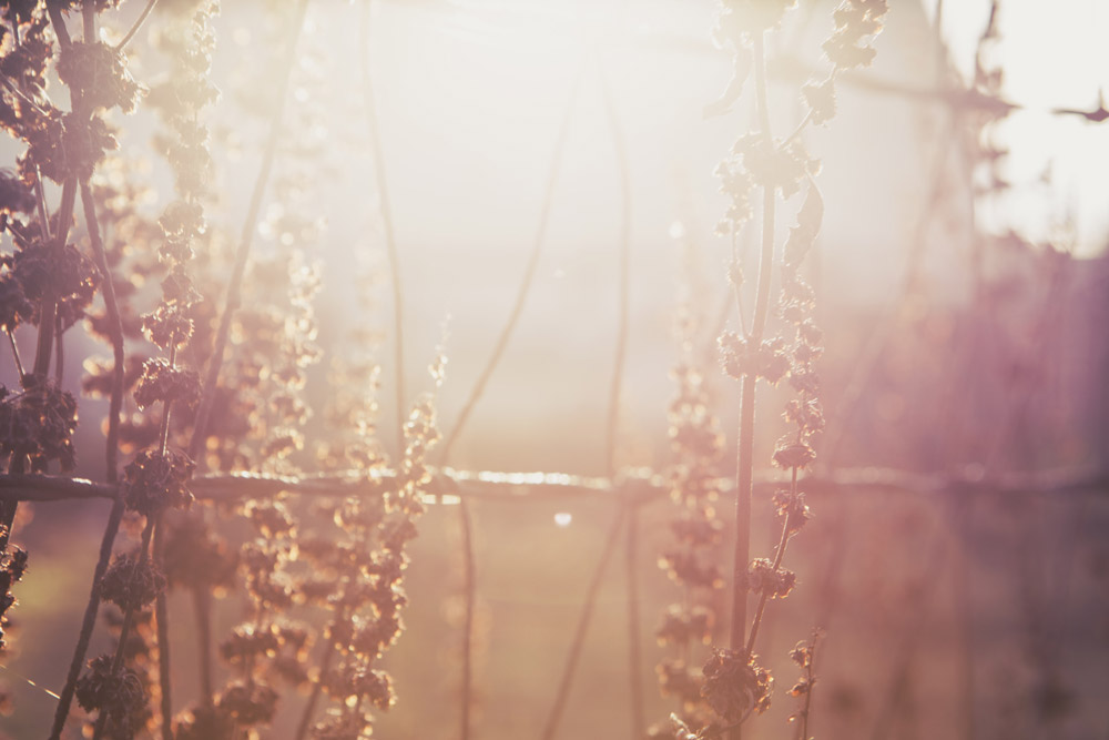 Let Your Words Speak Life