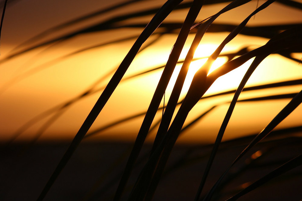 Making Time for God in Your Life