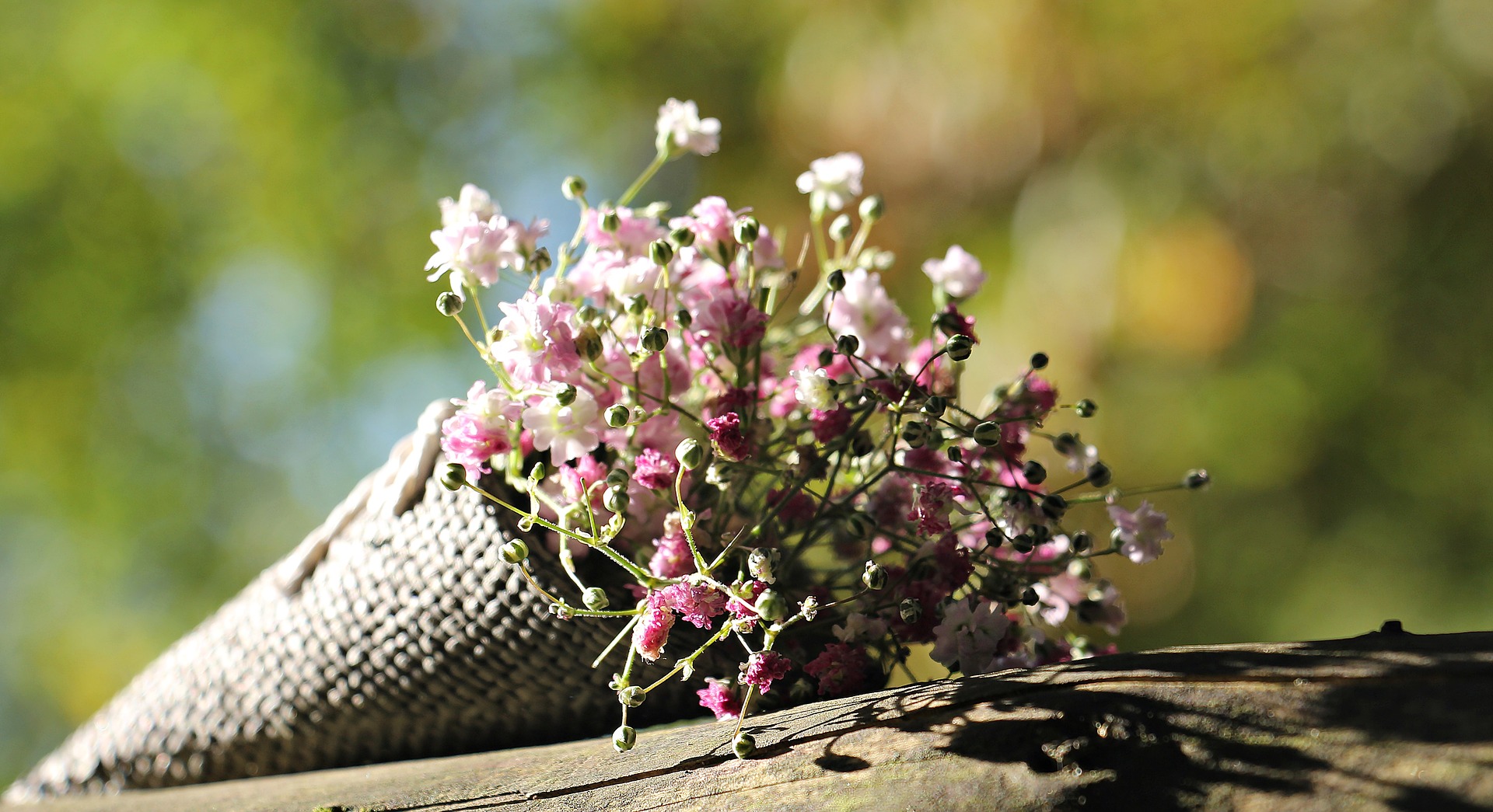Remembering God’s Forgiveness