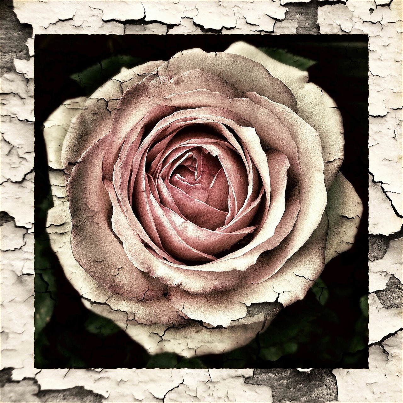 Our Brokenness